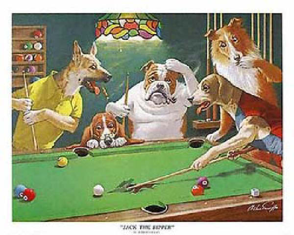 Dog joueus - 3-humourenvrac